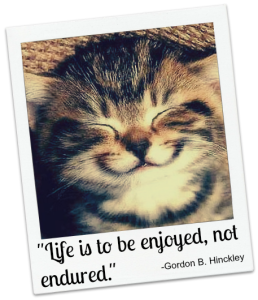 smiling-cat-enjoy-life A smiling cat and quote about enjoying life from Gordon Hinckley.